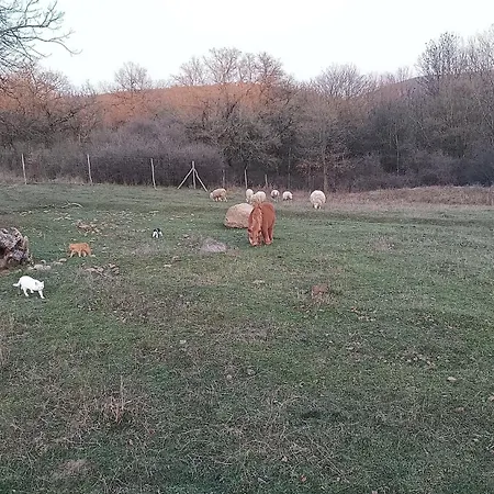 Na Kopci Raj Camping Hrusov